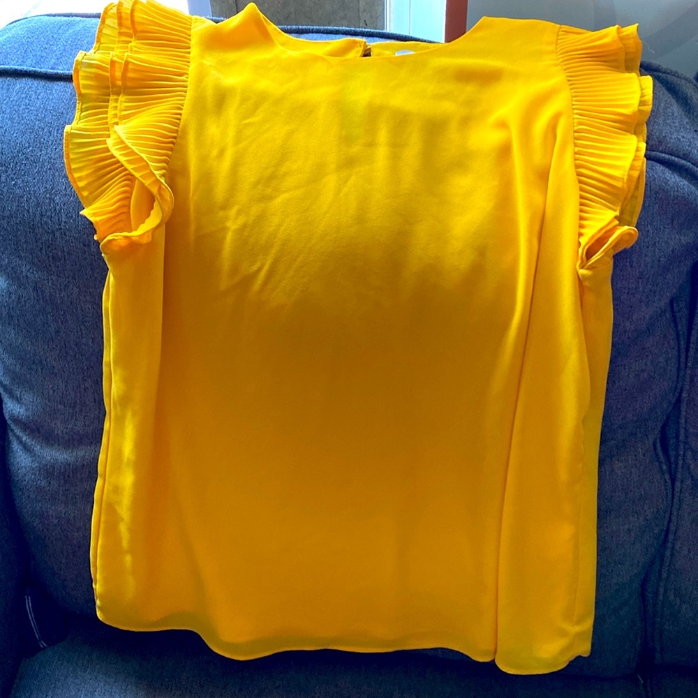naked zebra, yellow blouse.